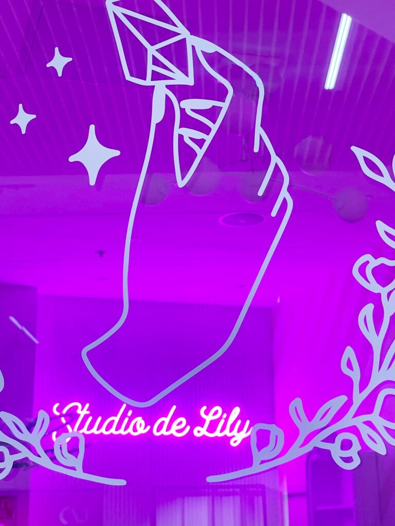 Art direction and graphic overlay for the Studio de Lily boutique